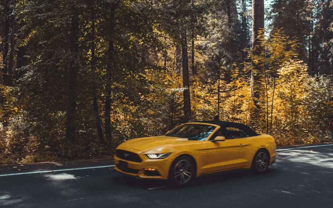 Icon Rocklear vs PPF: Best Paint Protection in MD